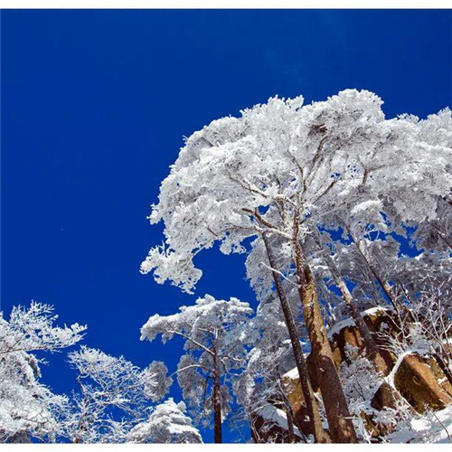 银装素裹黄山雪景风景头像图片
