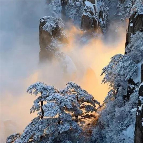 银装素裹黄山雪景风景头像图片