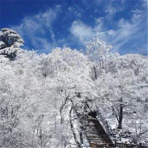 银装素裹黄山雪景风景头像图片