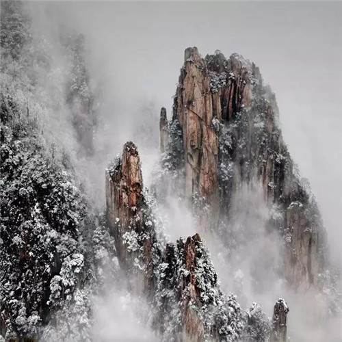 银装素裹黄山雪景风景头像图片