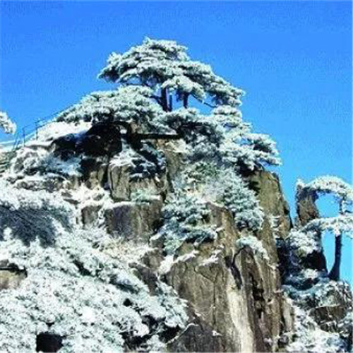 银装素裹黄山雪景风景头像图片