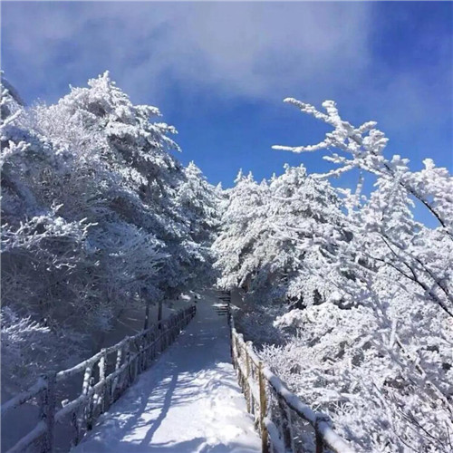 银装素裹黄山雪景风景头像图片