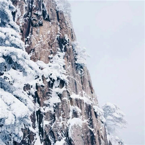 银装素裹黄山雪景风景头像图片