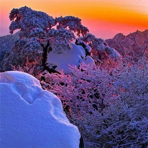 银装素裹黄山雪景风景头像图片