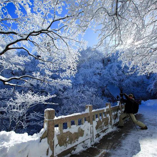 银装素裹黄山雪景风景头像图片