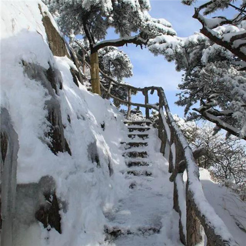 银装素裹黄山雪景风景头像图片