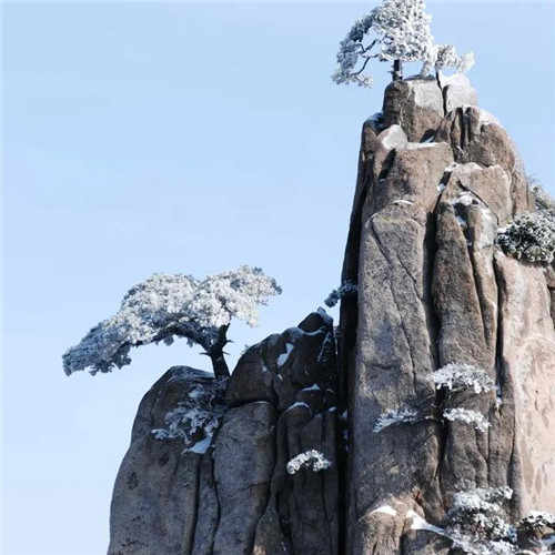 银装素裹黄山雪景风景头像图片