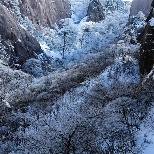银装素裹黄山雪景风景头像图片