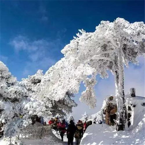银装素裹黄山雪景风景头像图片