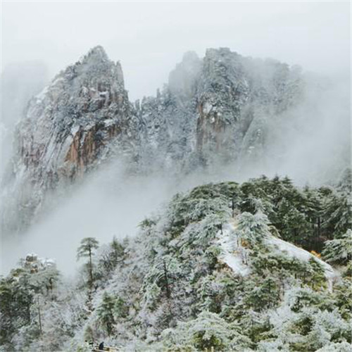 银装素裹黄山雪景风景头像图片