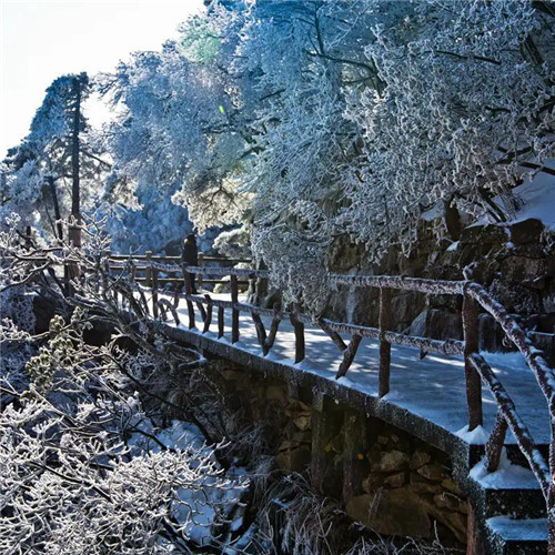 银装素裹黄山雪景风景头像图片