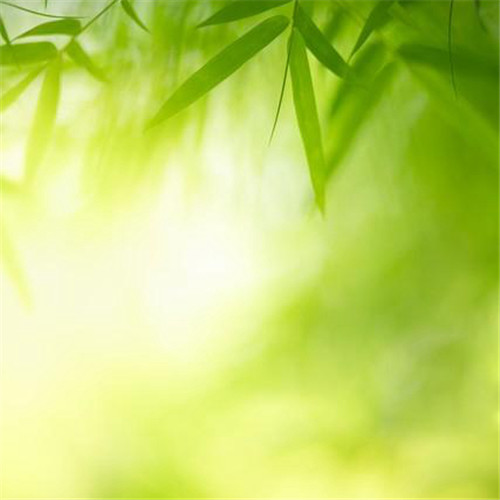 清新风景静物头像