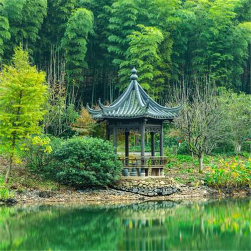 清新风景静物头像