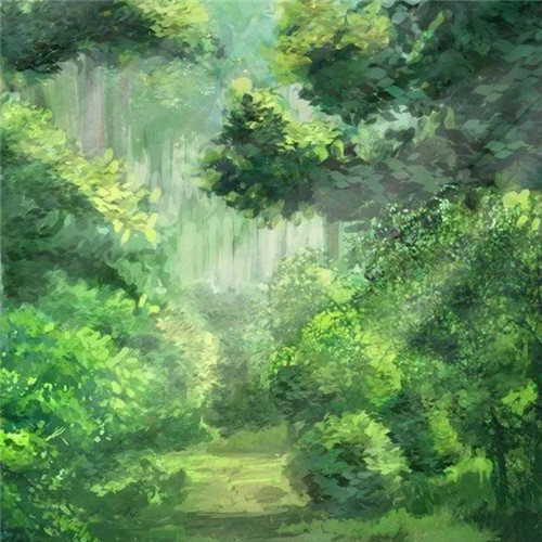 唯美森林风景头像图片