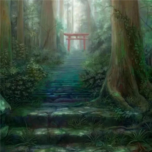 唯美森林风景头像图片
