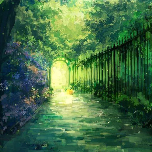 唯美森林风景头像图片
