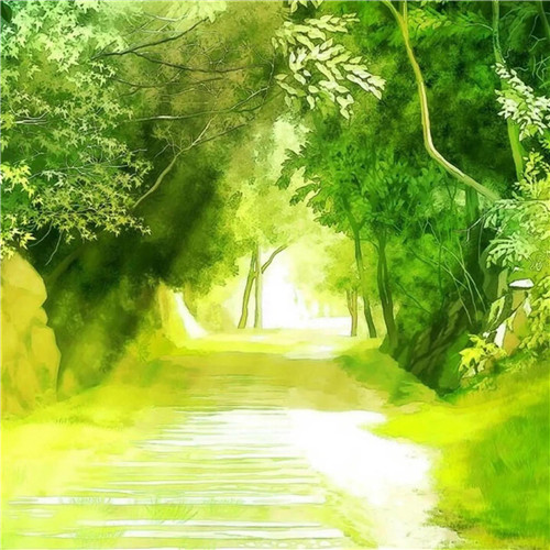 唯美森林风景头像图片