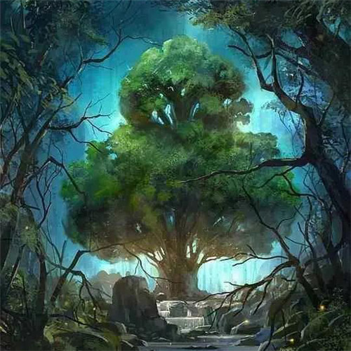 唯美森林风景头像图片