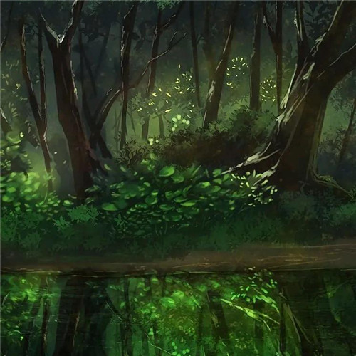 唯美森林风景头像图片