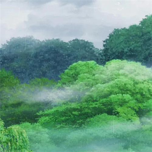 唯美森林风景头像图片