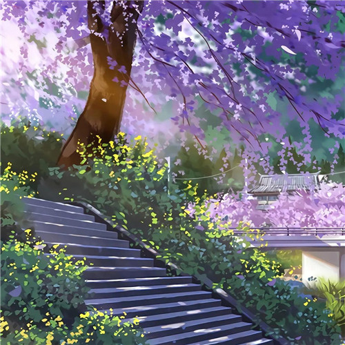唯美森林风景头像图片