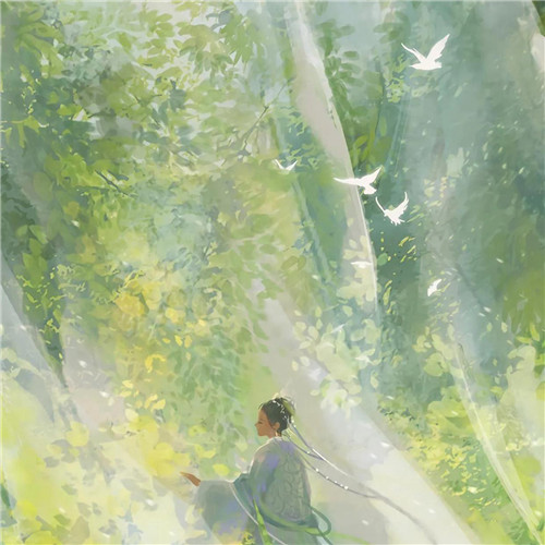 唯美森林风景头像图片