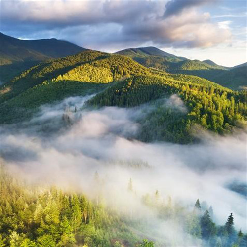 唯美小清新风景头像