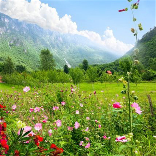 唯美小清新风景头像
