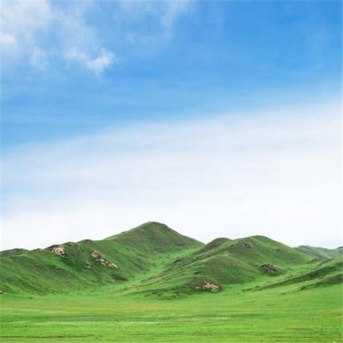 唯美小清新风景头像