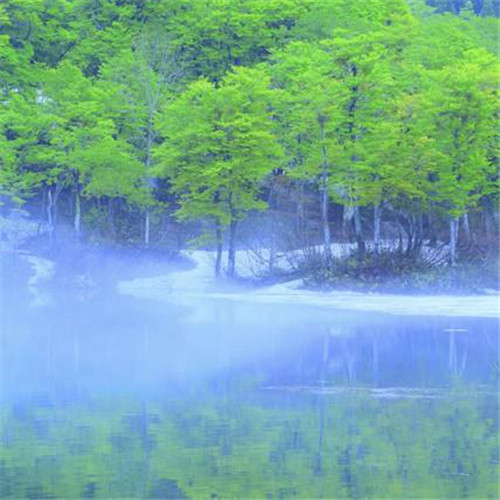 唯美小清新风景头像