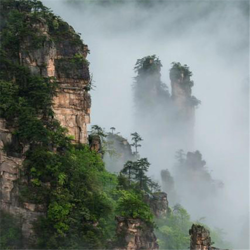 唯美小清新风景头像
