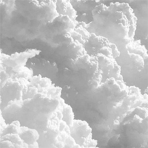 2026热门白色极简头像图片