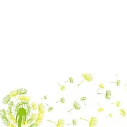 2026热门白色极简头像图片