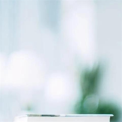 2026热门白色极简头像图片