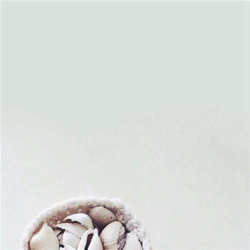 2026热门白色极简头像图片