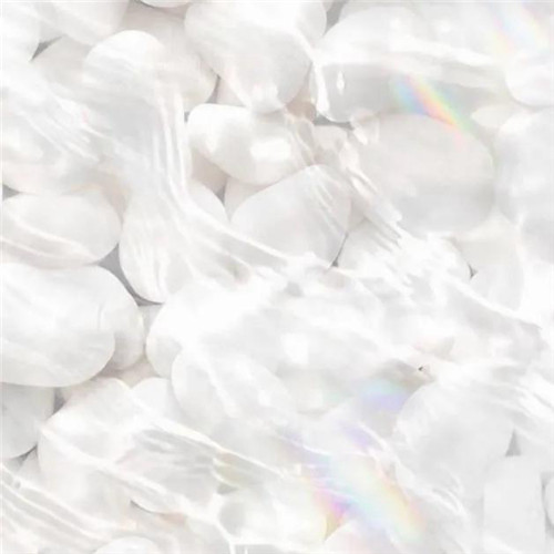 2026热门白色极简头像图片