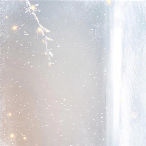 2026热门白色极简头像图片