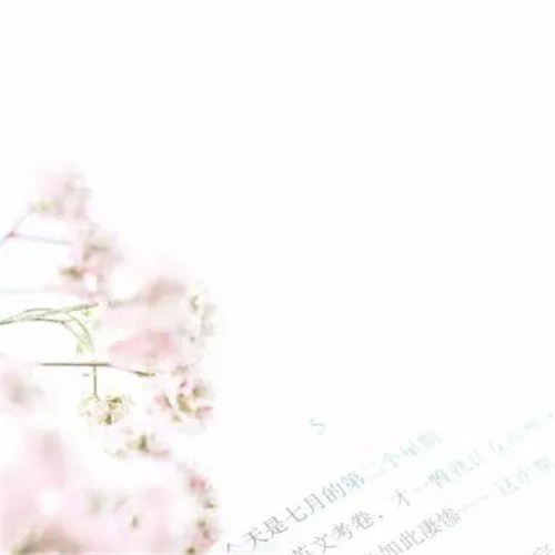 2026热门白色极简头像图片