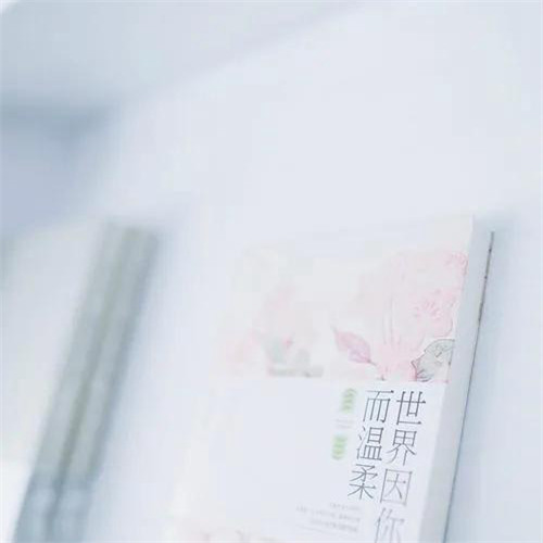 2026热门白色极简头像图片