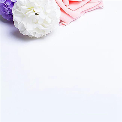 2026热门白色极简头像图片