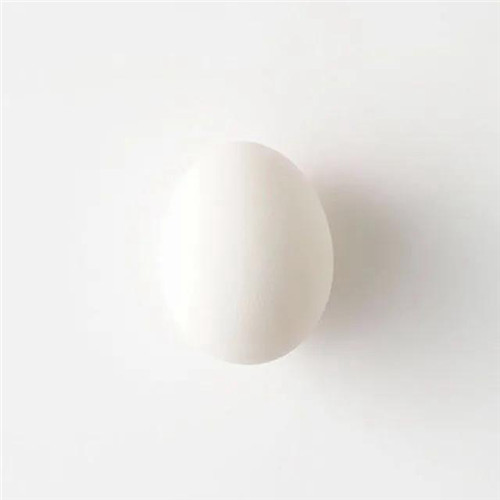 2026热门白色极简头像图片