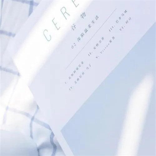 2026热门白色极简头像图片