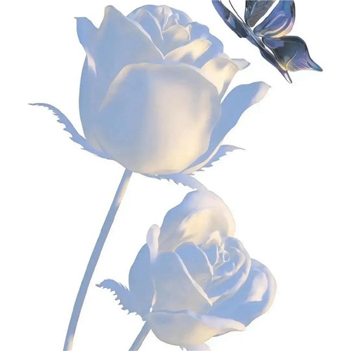 2026热门白色极简头像图片