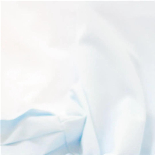 2026热门白色极简头像图片