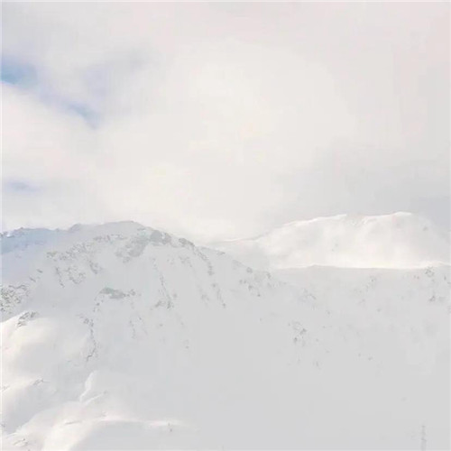 2026热门白色极简头像图片