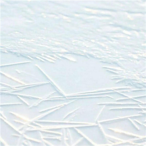 2026热门白色极简头像图片