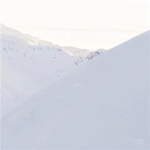 2026热门白色极简头像图片