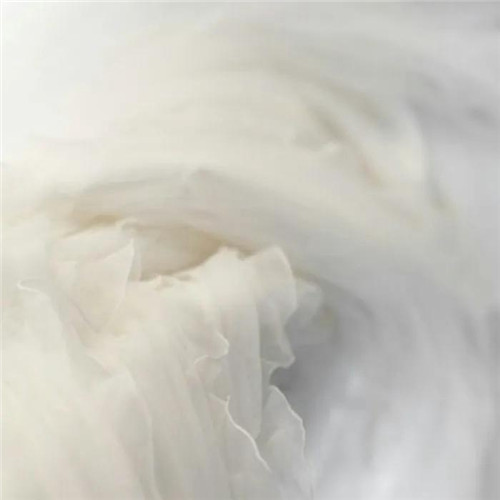 2026热门白色极简头像图片