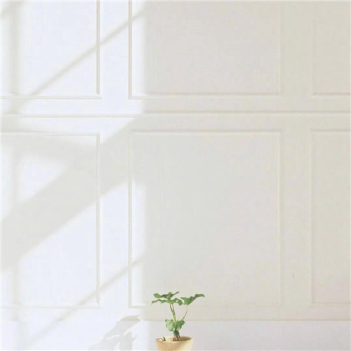 2026热门白色极简头像图片