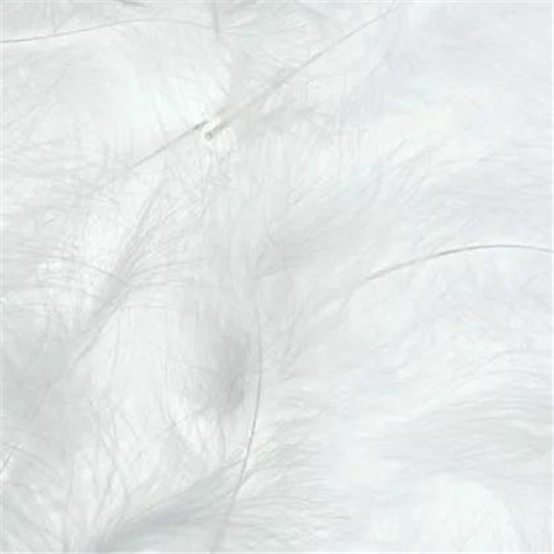 2026热门白色极简头像图片